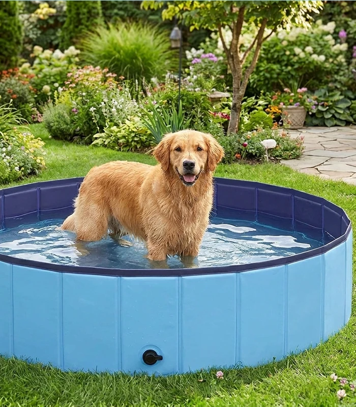 Piscine pliable chien SplashTrip 120 Utilisation
